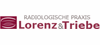 Firmenlogo: Radiologische Gemeinschaftspraxis Dr. med. Gert Lorenz und Wolfram Triebe Firmenlogo: Radiologische Gemeinschaftspraxis Dr. med. Gert Lorenz und Wolfram Triebe